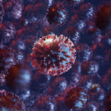 global-pandemic